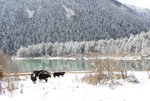 lake11