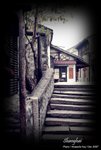 shanghai4