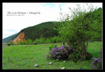Shangrila 23