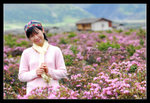 Shangrila 30