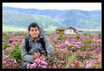Shangrila 31