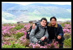 Shangrila 34