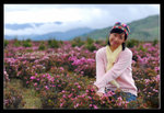 Shangrila 35