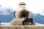 Shangrila 152
