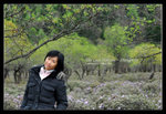 Shangrila 98
