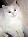 DSCN0243