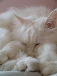 DSCN0663