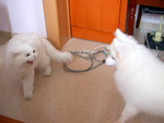 DSCN0723