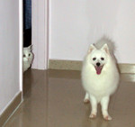 DSCN0724B