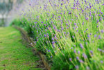image0003