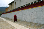 Shangrila 77