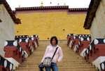 Shangrila 82