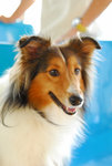 image0003