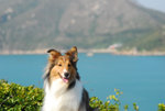 image0006