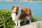 image0007