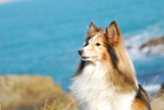 image0033