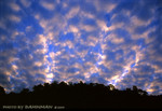 12/09/2004<br>(Sunrise)