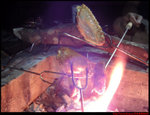 DSC00238