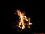 DSC00245
