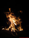DSC00247