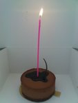 
Choco Cake