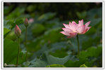DAV_2190