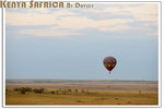 DAV_7633