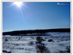 DSCF0022
