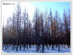 DSCF0025