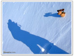 DSCF0028