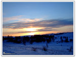 DSCF0038