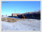 DSCF0061