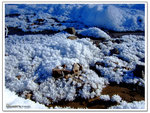 DSCF0065