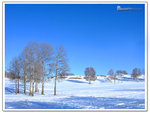 DSCF0072
