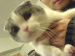 Hugo@K750i