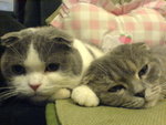 Hugo&Jacy@K750i