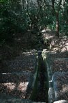 IMG_3822