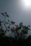 IMG_3836