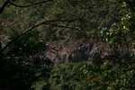 IMG_3851