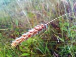 1007_170153(a)