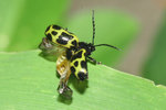 2008_0516_075320