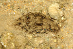 2009_0110_030548