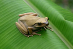 2004_0409_110635