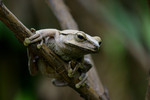 2004_0409_144702