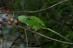 2006_0128_151943
