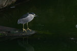 2006_0128_154618