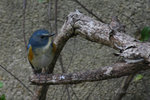 2006_0319_162744