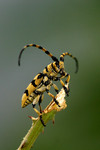 2004_0606_135924