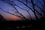 2005_0306_182630
