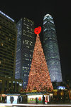 2006_1218_194154